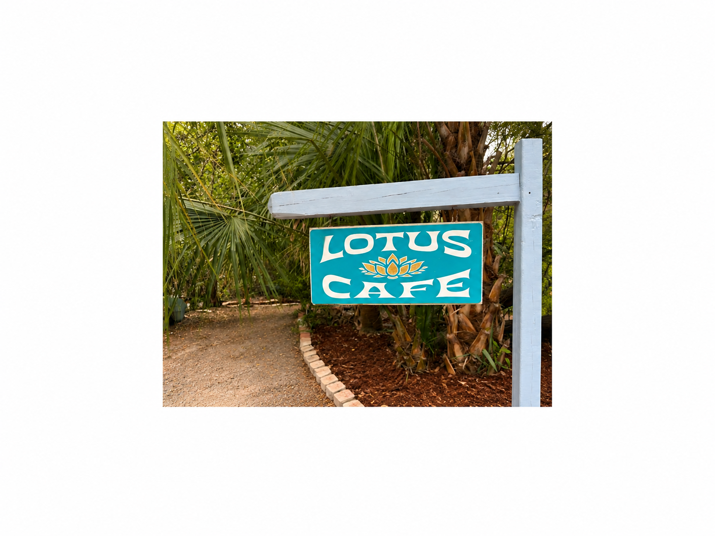 Lotus Cafe & Juice Bar