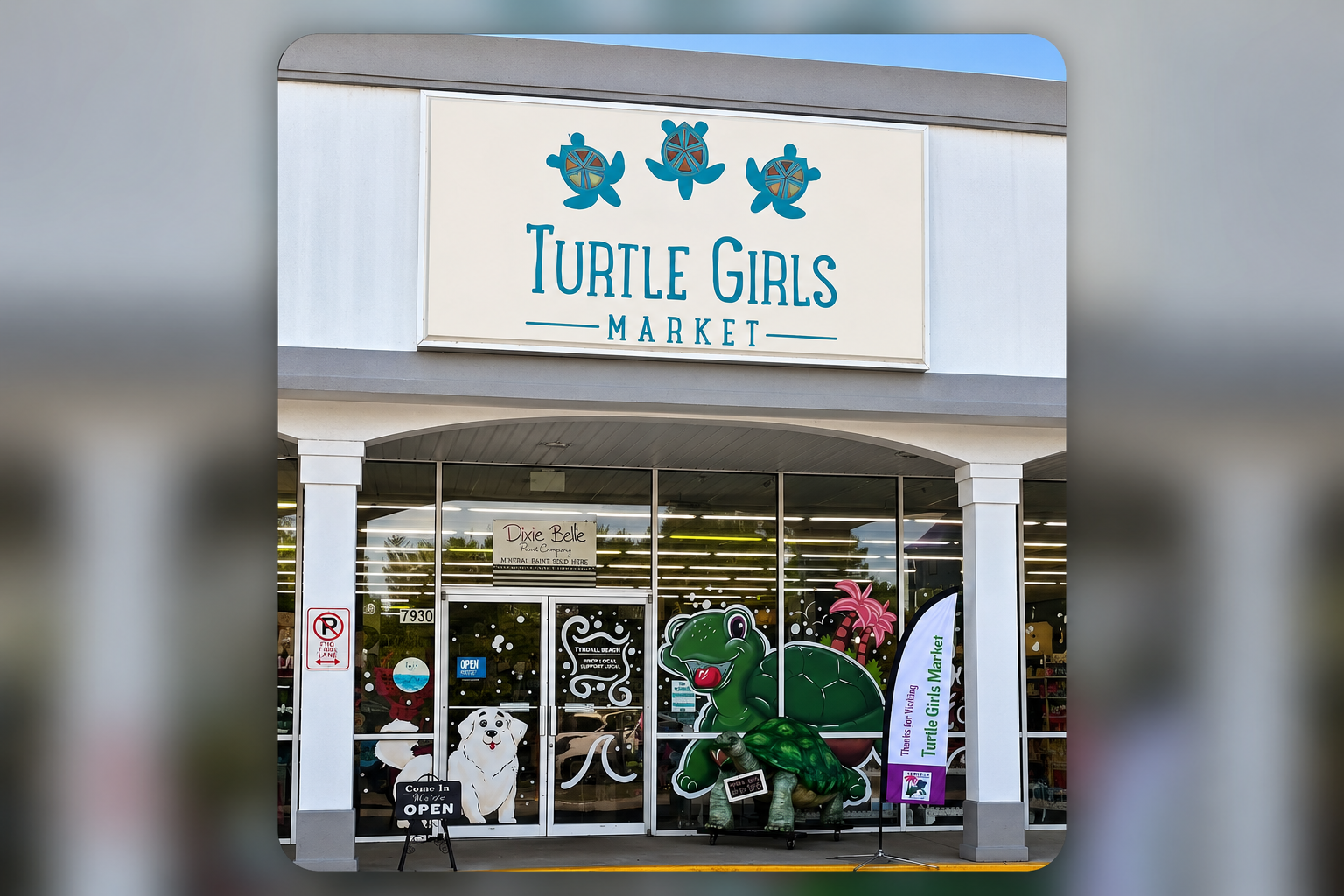 Turtle Girls Market
